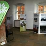 DAV Ausstellung KLIMAwandel-KlimaSCHUTZ im Rathaus