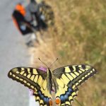 André Melis - Baden wie die Römer