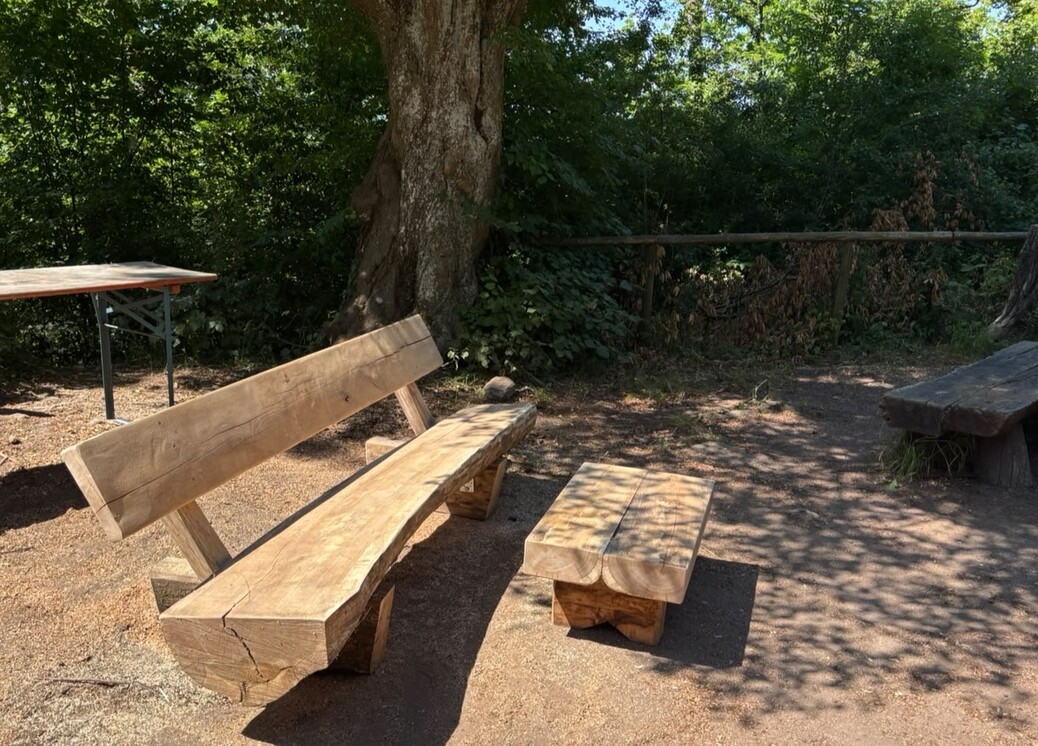 Neue Couch